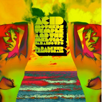 Acid Mothers Temple - Paralyzed Brain (Orange Vinyl LP)