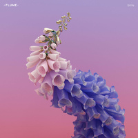 Flume ‎– Skin (Vinyl LP)