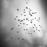 Fait ‎– Atmosphere (Vinyl EP)