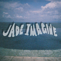 Jade Imagine ‎– What The Fuck Was I Thinking (Vinyl LP)