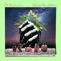 The Bennies ‎– Natural Born Chillers (Vinyl LP)