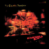 The Cinematic Orchestra ‎– Every Day (Vinyl LP)