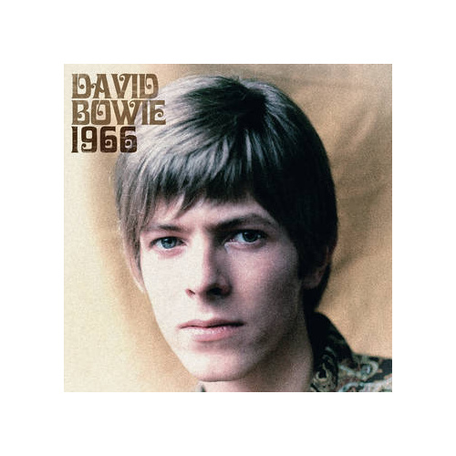 David Bowie I Dig Everything - The Pye Singles 1966 (Vinyl LP)